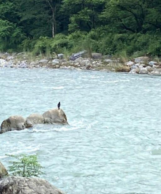 Treepie Resorts Rishikesh Exterior photo